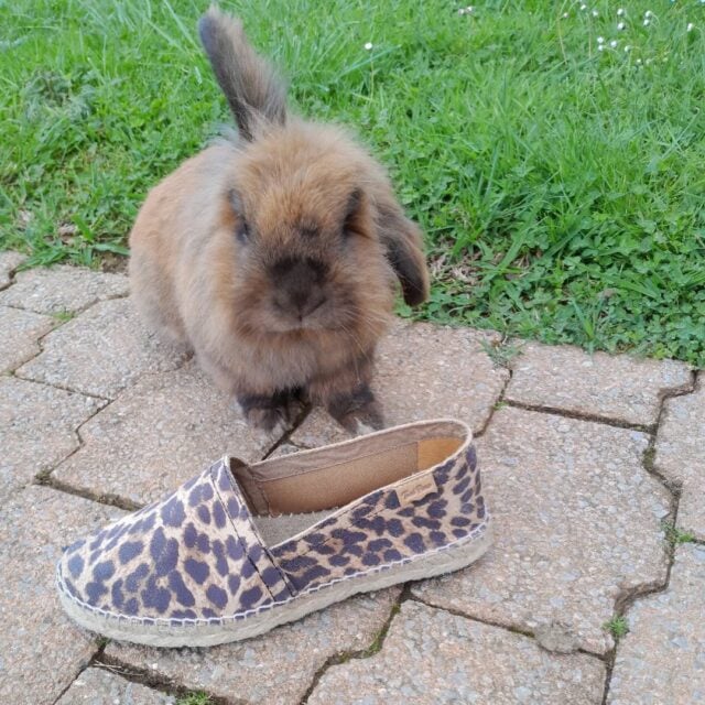 #espadrilles #lespadrilledelitxu #saintjeanpieddeport